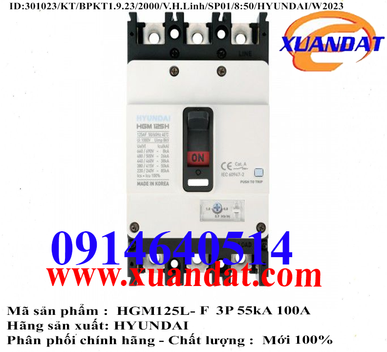 MCCB HYUNDAI HGM125L-F 3P 55kA 100A